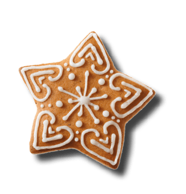 Set of christmas homemade gingerbread cookies isolated on the white background