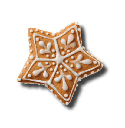 Set of christmas homemade gingerbread cookies isolated on the white background